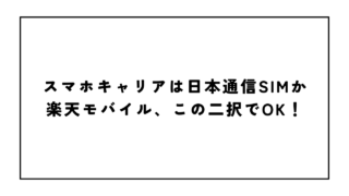 スマホキャリアは日本通信SIMか楽天モバイル、この二択でOK！